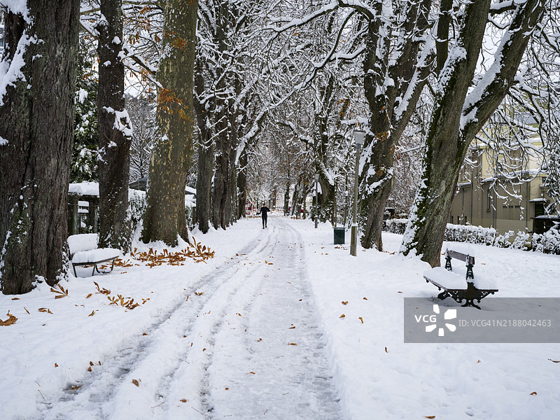 冬季慢跑图片素材