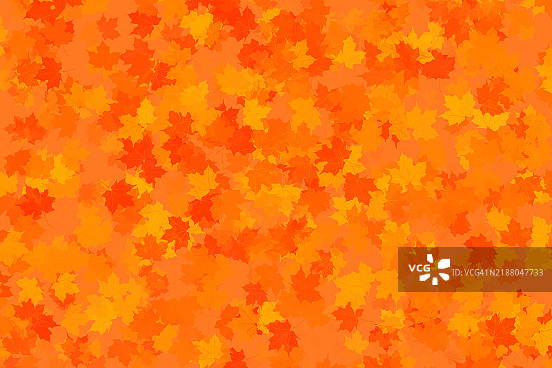 秋天的枫叶图案，营造出充满活力的秋季背景图片素材