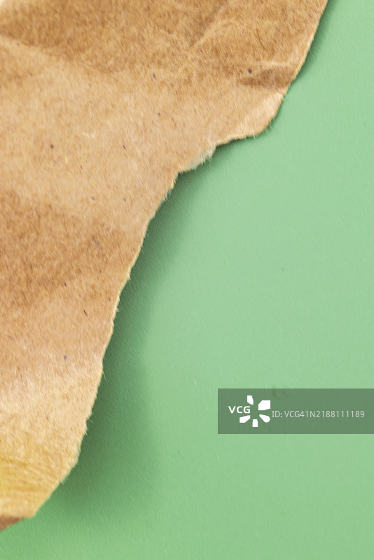 撕裂的灰色纸张孔图片素材