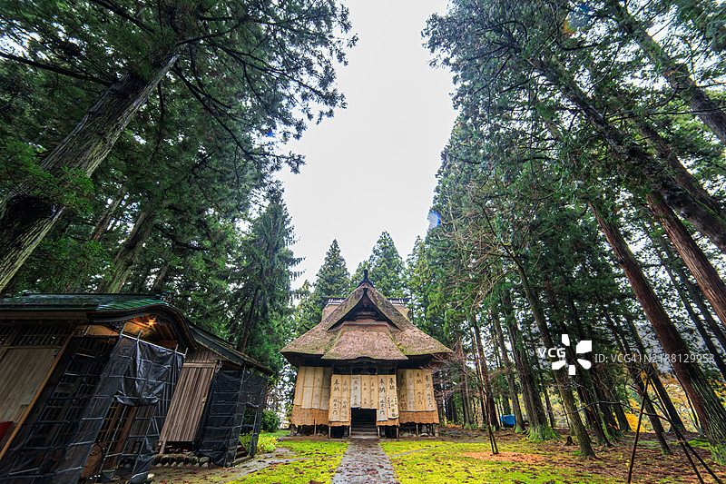 神秘而美丽的神宫寺。主殿的茅草屋顶、覆盖着美丽绿苔的场地以及大片的杉树林令人印象深刻。图片素材