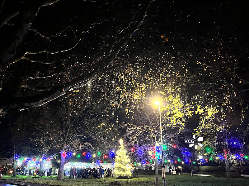 圣诞节的村庄绿地图片素材