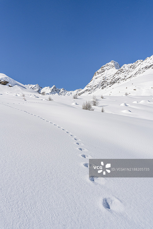 意大利阿尔卑斯山的洁白雪地上的痕迹图片素材