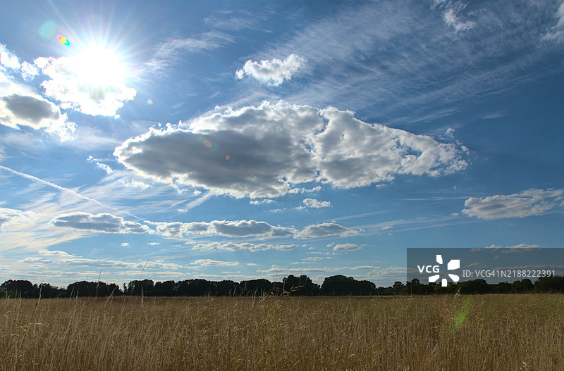 德国贝利茨的天空下田野的美丽景色图片素材