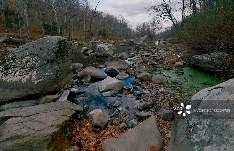宾夕法尼亚州美国森林中的河流风景图片素材
