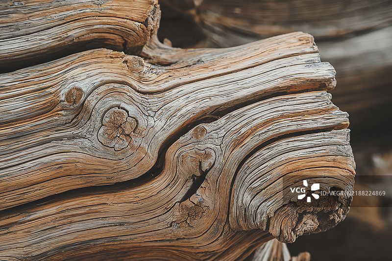 一张木材纹理表面的照片图片素材