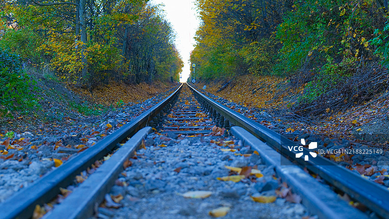 秋天树木间的空旷铁路轨道图片素材