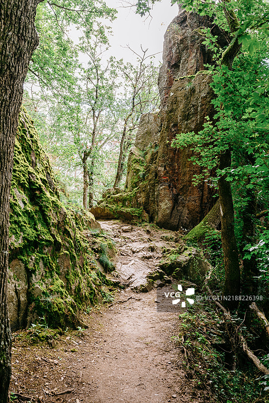 通往里博维尔圣城堡的山间小径图片素材
