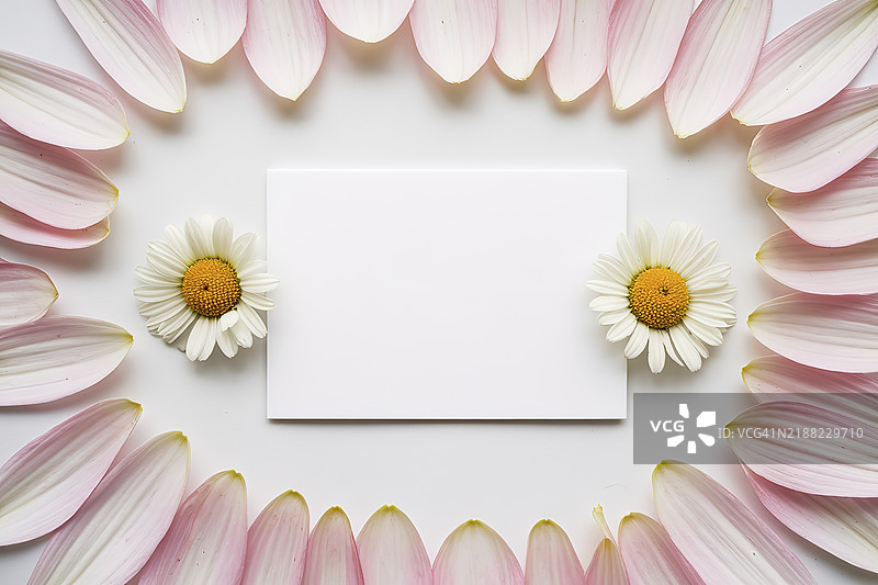 一张空白的白色卡片置于白色背景中央图片素材