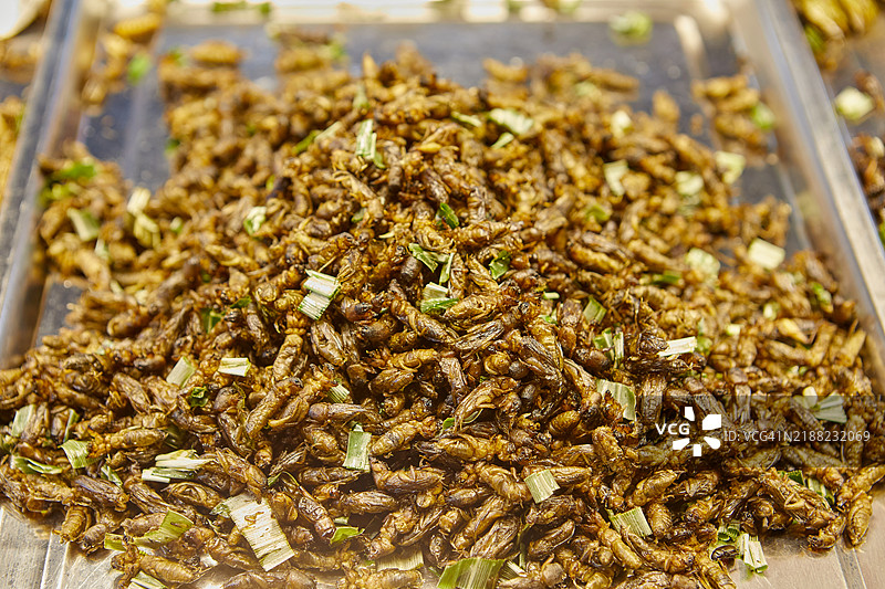 街头小吃炸蟋蟀图片素材