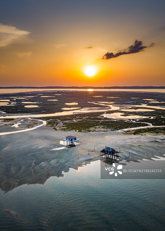 鸟岛上的日落时分图片素材
