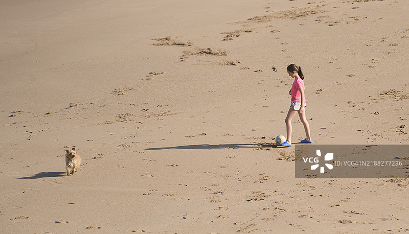 一个女孩在沙滩上玩球，侧面视图，旁边有一只棕色毛发的狗，沙子上有许多脚印，背景中可以看到一个人走路的脚和完整的影子。图片素材