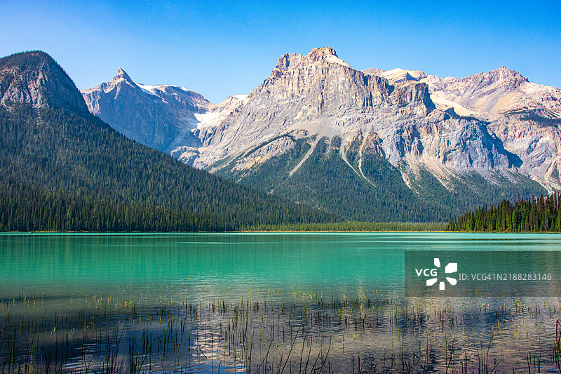 落基山脉在加拿大阿尔伯塔省约霍国家公园的美丽翡翠湖中倒影。图片素材
