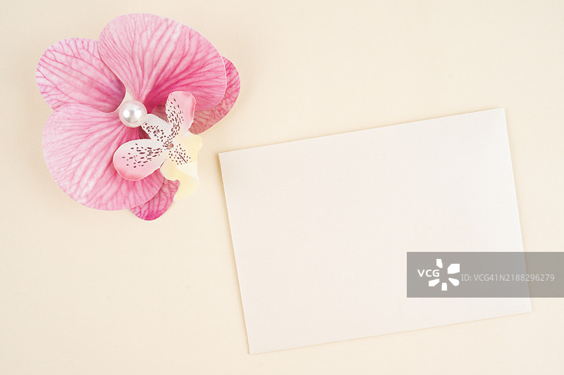 米色背景上粉色兰花旁的空白卡片。图片素材