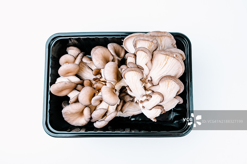 白色背景上的平菇。图片素材