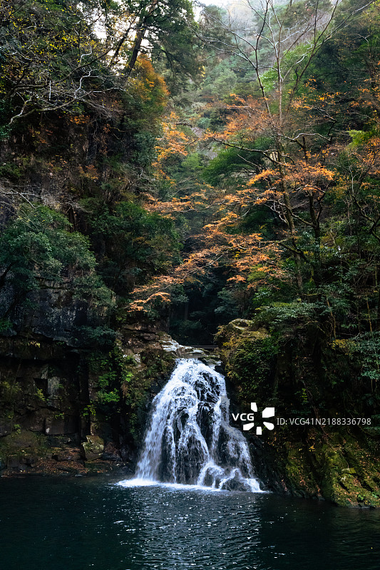 秋叶染色的溪流瀑布（快门速度 1/50秒）图片素材