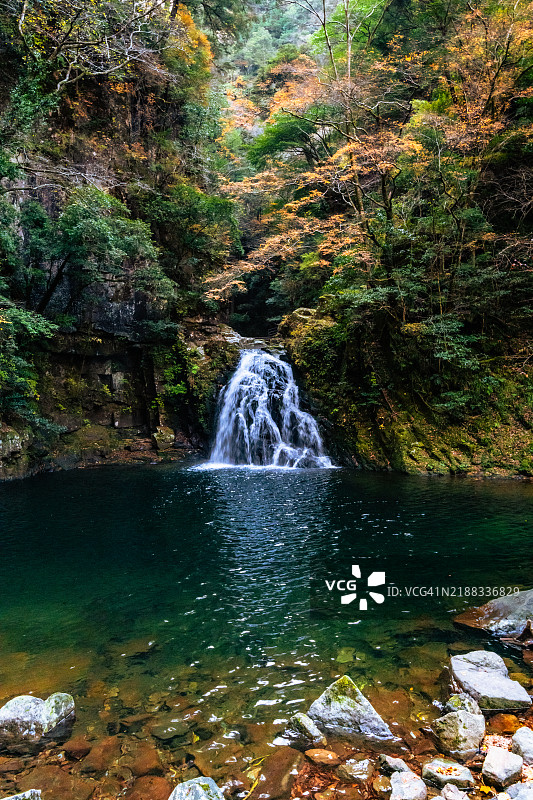 秋叶染色的溪流瀑布（快门速度 1/25秒）图片素材