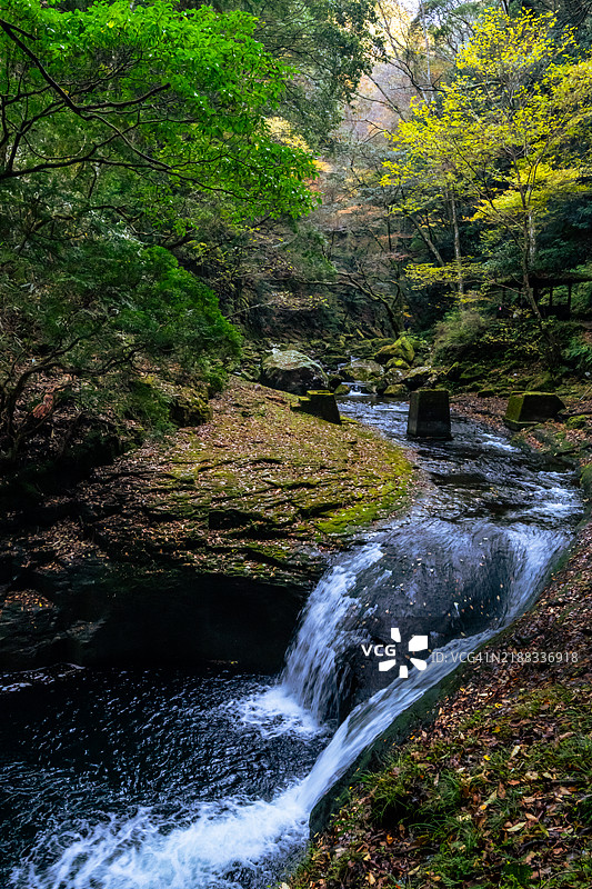 一条细长的瀑布从覆盖着落叶的岩石上倾泻而下（快门速度 1/30秒）图片素材