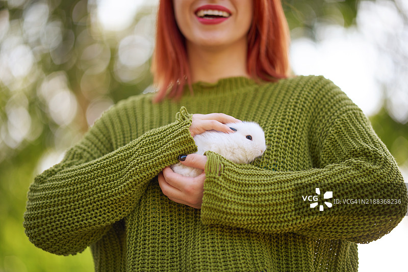 快乐的兔子时刻图片素材