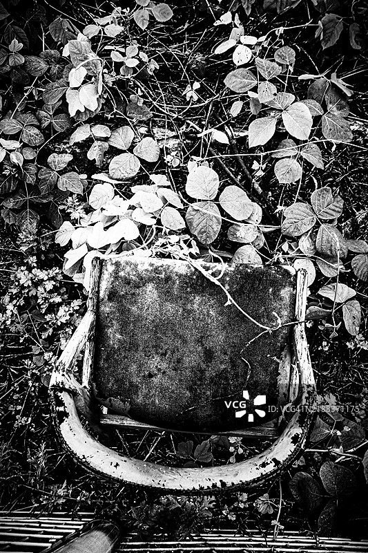 被大自然重新夺回的废弃椅子图片素材