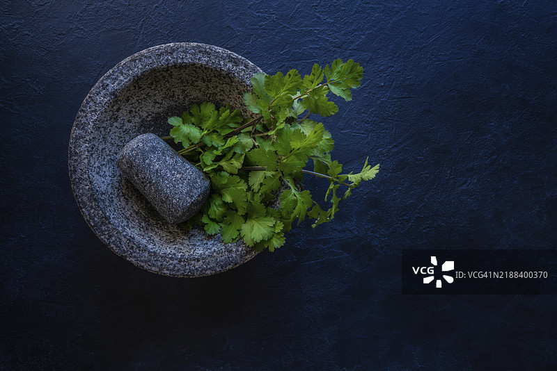 新鲜香菜在石臼和杵中图片素材
