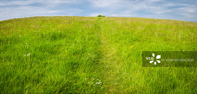 绿草如茵的小径穿过绿色的牧场，通向山顶全景图片素材