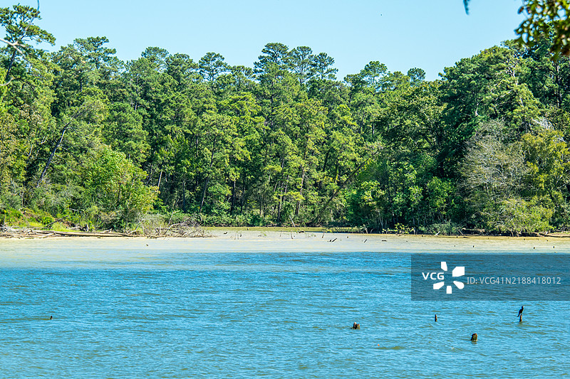 美国德克萨斯州利文斯顿的湿地风景图片素材