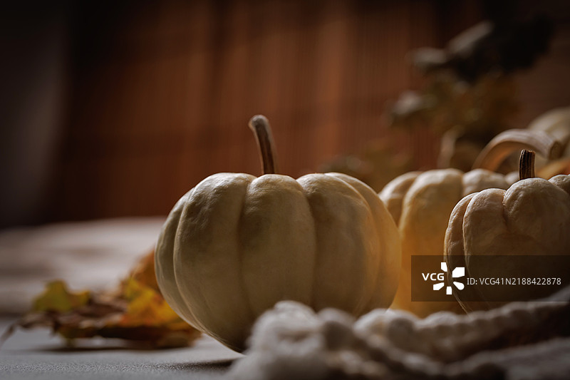 迷你南瓜被秋季元素环绕，灯光昏暗图片素材