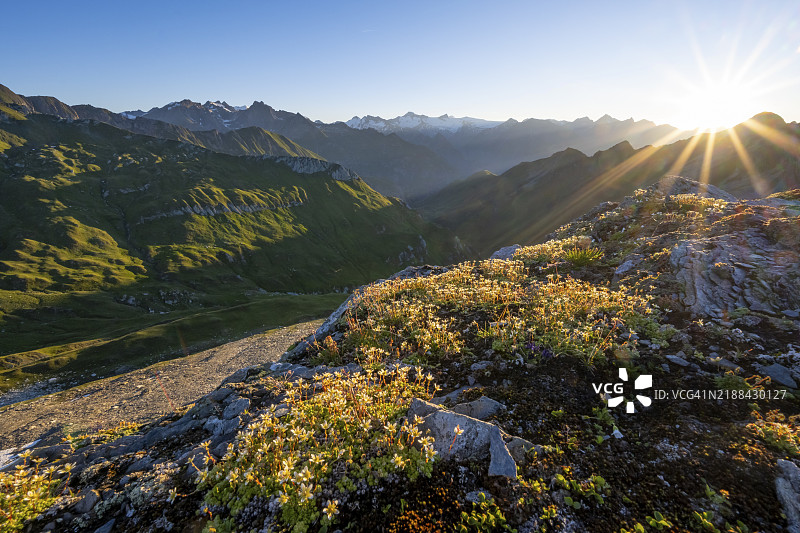 山脉风景与太阳星，晨间氛围，日出时分的格罗斯维尼迪格峰顶景观，从巴赫伦肯科夫俯瞰，拉索林山脉，霍赫陶恩国家公园，东阿尔卑斯，东蒂罗尔，奥地利，欧洲图片素材