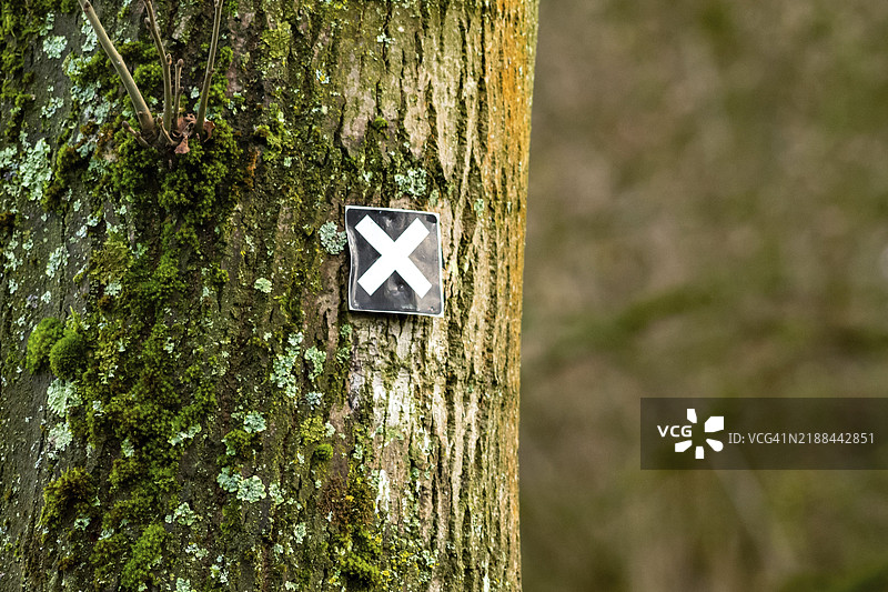 树干上带有徒步旅行标志图片素材