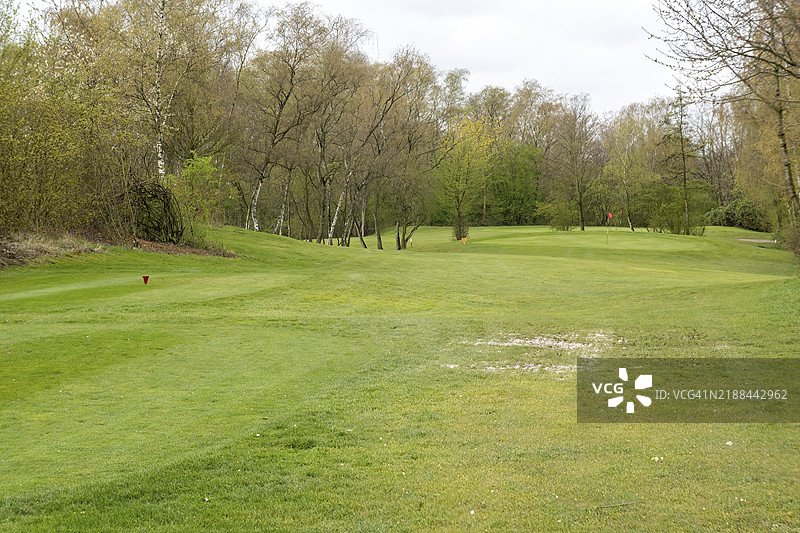 阳光明媚的荒废高尔夫球场图片素材