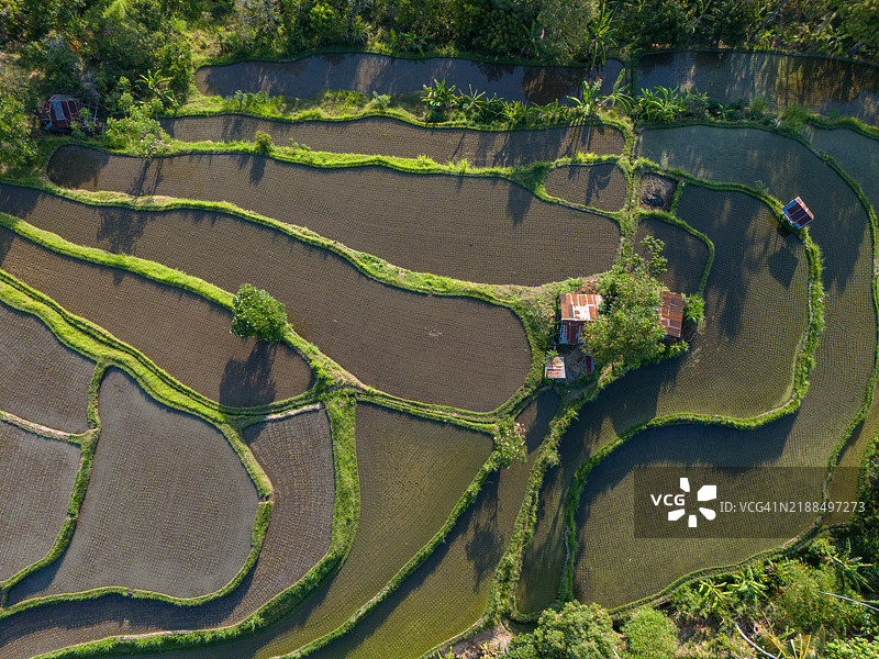 梯田稻田图片素材