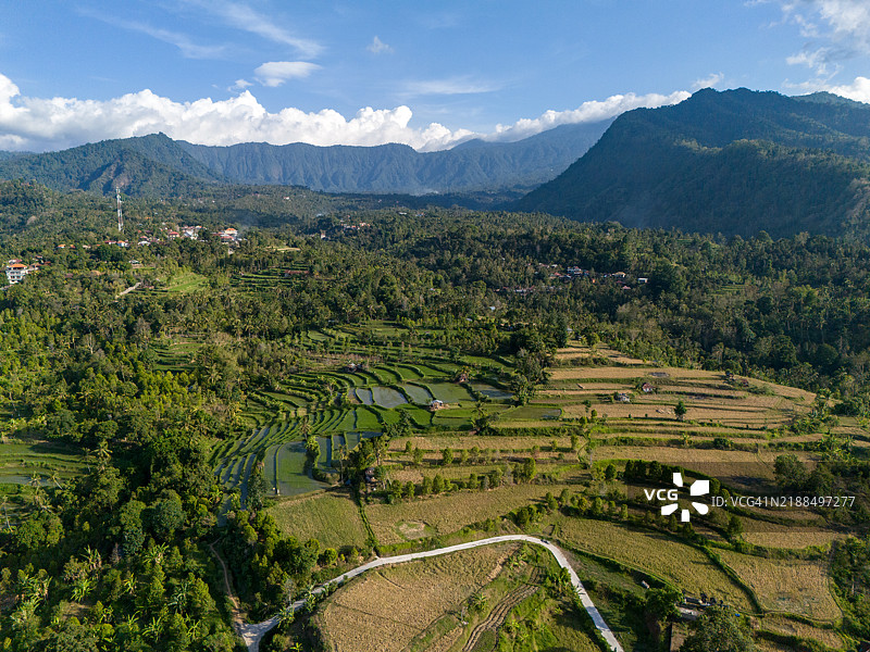 梯田稻田图片素材