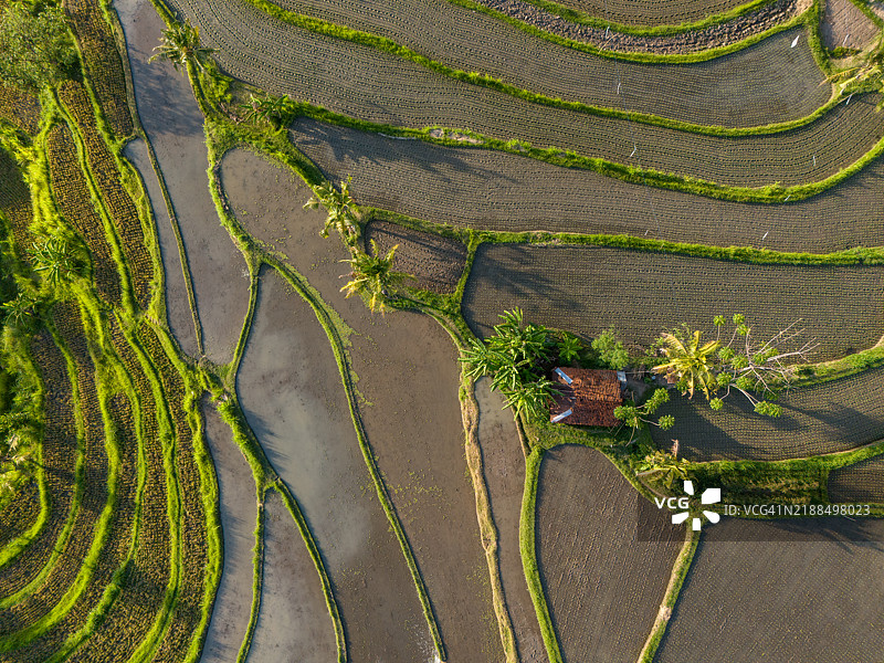 梯田稻田图片素材