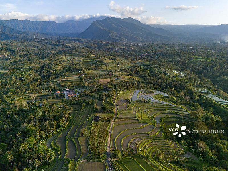 梯田稻田图片素材