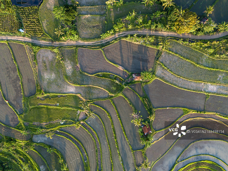 梯田稻田图片素材
