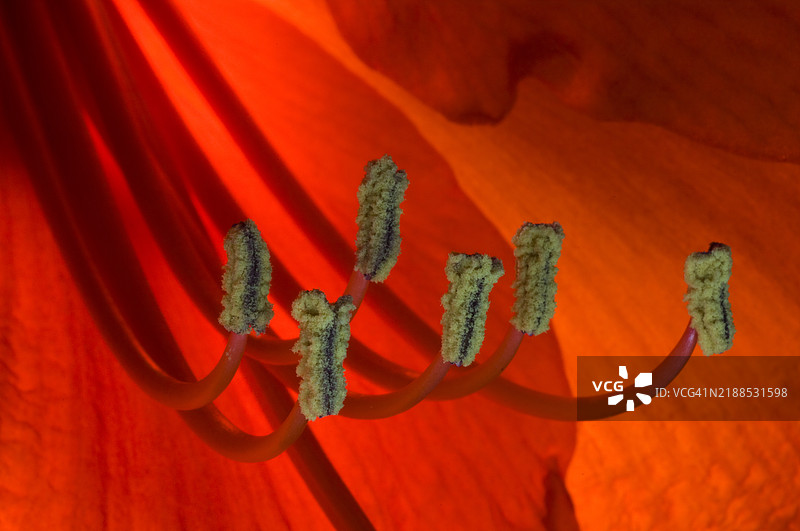 耐力处于红色状态图片素材