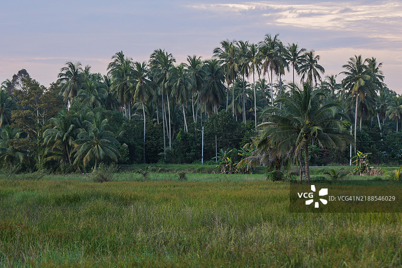宁静的乡村风景图片素材