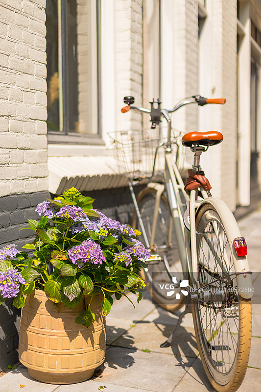荷兰一栋房子前的人行道上有一辆自行车和一盆植物。图片素材