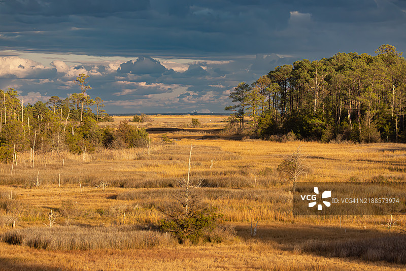 梅树岛国家野生动物保护区风景图片素材