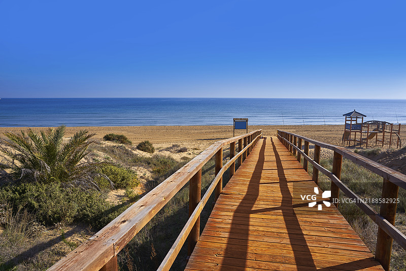 西班牙阿利坎特科斯塔布兰卡的埃尔切（Elche Elx）太阳沙滩沙丘图片素材