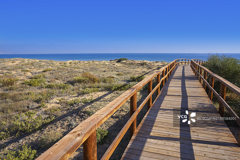 西班牙阿利坎特科斯塔布兰卡的埃尔切（Elche Elx）太阳沙滩沙丘图片素材