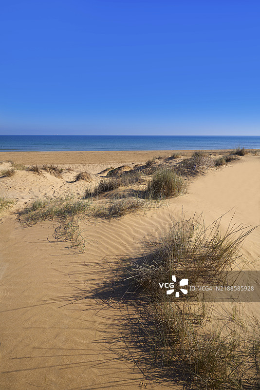 西班牙阿利坎特的埃尔切（Elx Elche）卡拉巴西（Carabassi）海滩沙丘，位于白色海岸（Costa Blanca）。图片素材