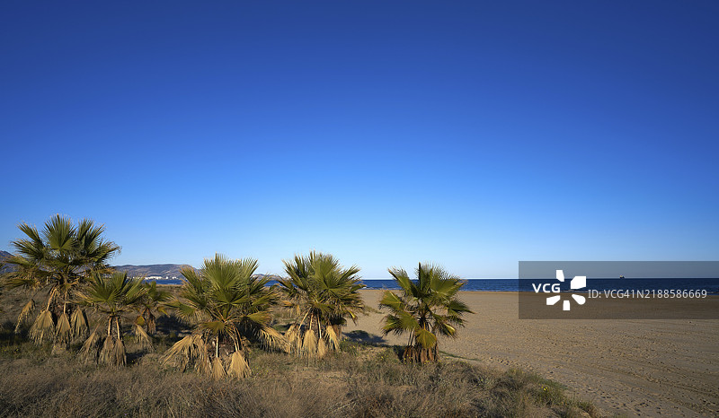 西班牙卡斯特利翁的格劳德卡斯特利翁的埃尔皮纳尔海滩，位于地中海沿岸图片素材