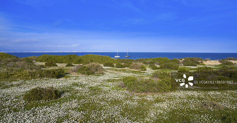 西班牙阿利坎特的诺瓦塔巴尔卡岛，地中海上的帆船图片素材