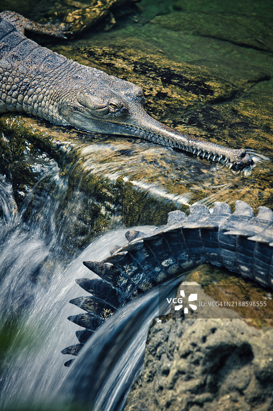 纽约布朗克斯的瀑布风景图片素材