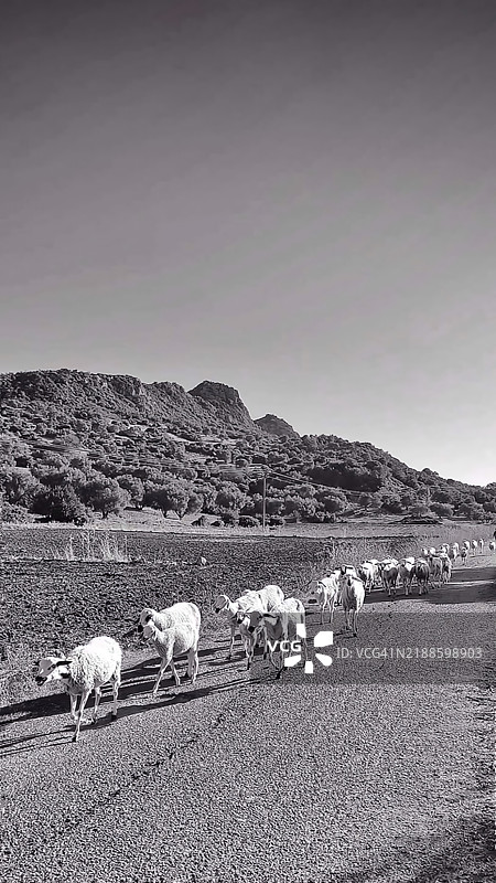 清澈天空下的风景如画的景观图片素材