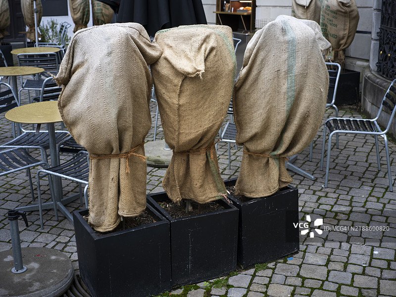 人行道咖啡馆里的包裹植物图片素材