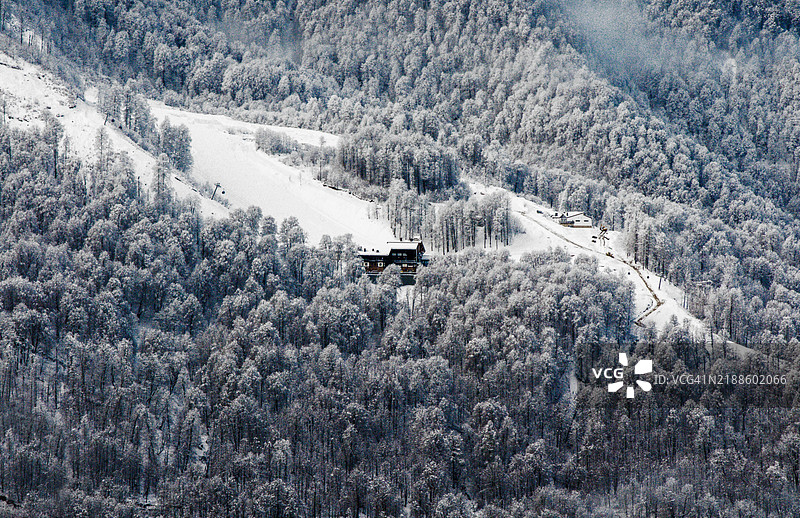 雪覆盖的树木俯视图图片素材