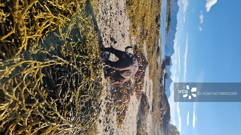 海滩与天空的美丽景色图片素材