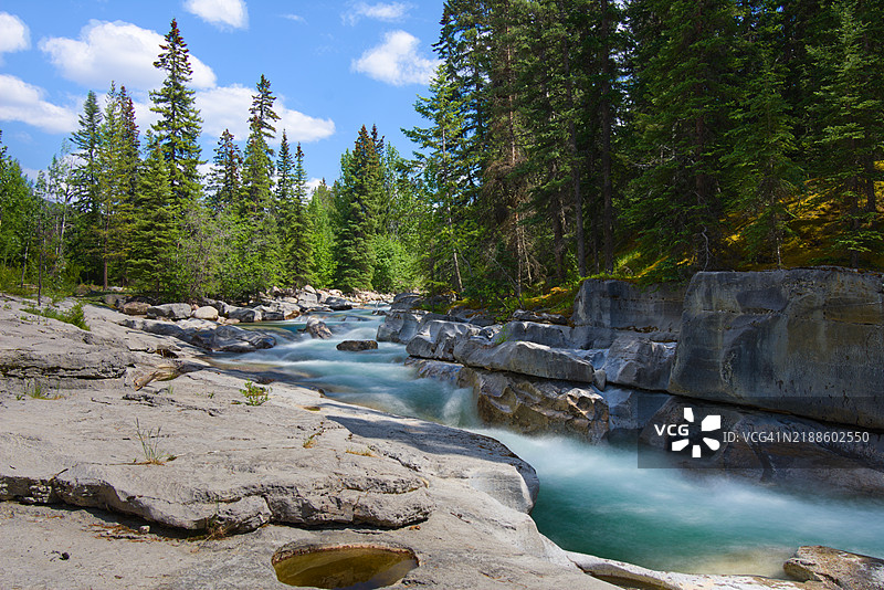 森林中树木环绕的河流美景，映衬着天空。图片素材